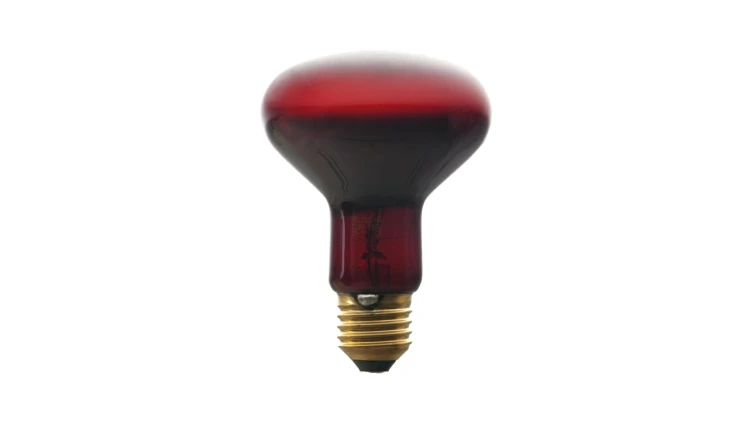 616dc338c4299c0615dd893e4a718f65
